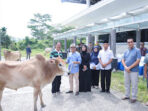 Bupati Agus Istiqlal bersama Ketua DPRD Serahkan 20 Ekor Sapi Kurban