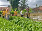 Program K3W di Tiyuh Kibang Yekti Jaya Berdampak Positif Bagi Masyarakat