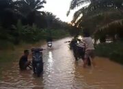 Curah Hujan Tinggi, Way Umpu dan Way Besai Meluap Rendam Permukiman di Pakuan Ratu
