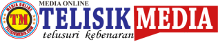 Telisik Media
