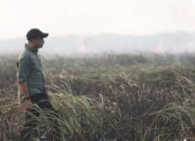Gubernur Mirza Turun Langsung Pantau Kebakaran di Lampung Timur, Satu Titik Berhasil Dipadamkan