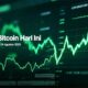 Telisik Harga Bitcoin Hari Ini: Menguat Tipis, Tembus Rp1,37 Miliar Lebih