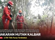 3.759 Titik Panas di Kalbar, Ketapang Paling Banyak
