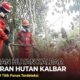 3.759 Titik Panas di Kalbar, Ketapang Paling Banyak
