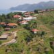telisik 1786169714 308