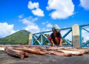 Pemerintah Provinsi Maluku Optimalkan Potensi Perikanan Tangkap untuk Kesejahteraan Masyarakat